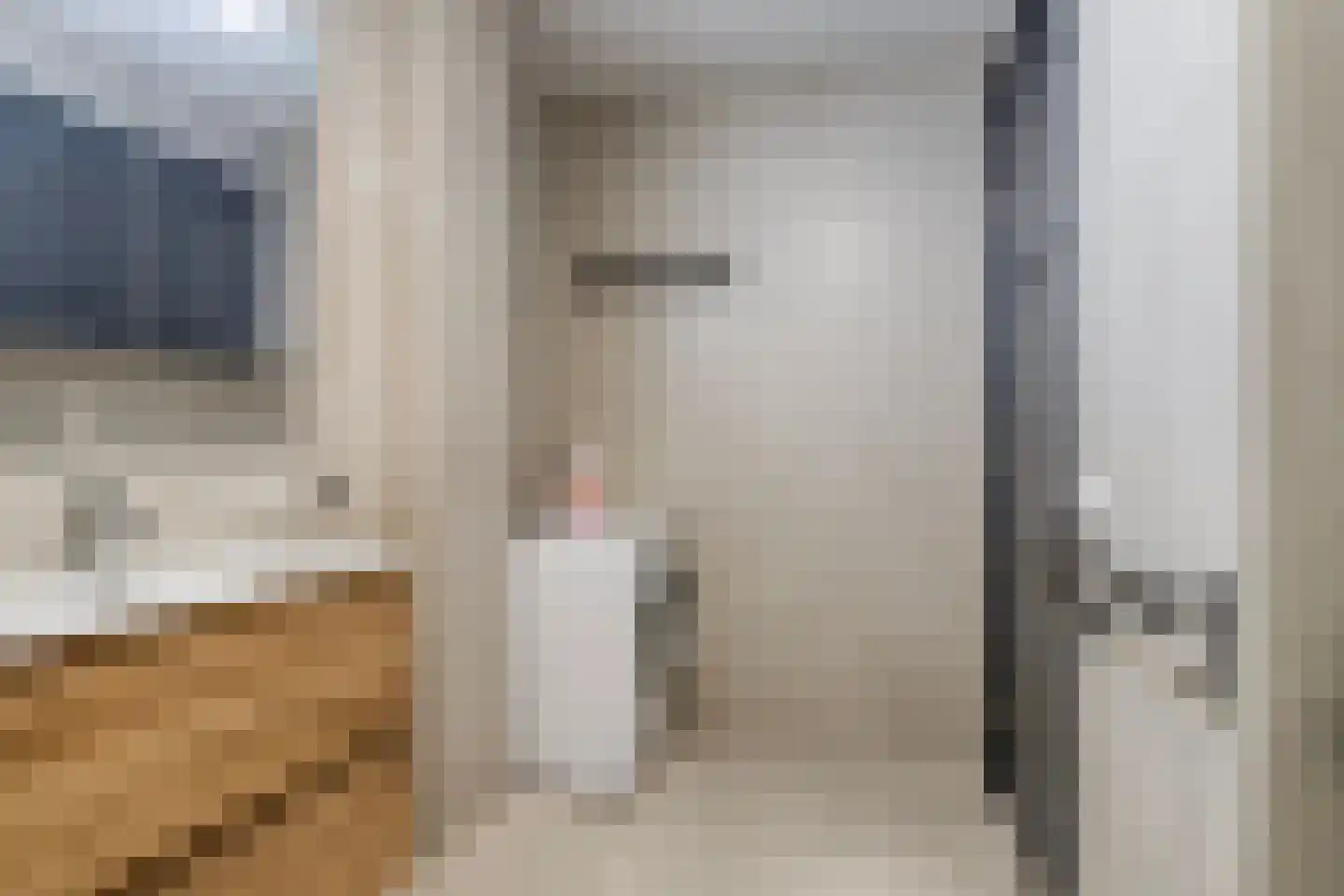 Rapenburgerstraat 75 Amsterdam thumbnail 15