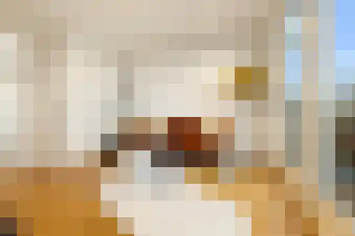 Rapenburgerstraat 83 1 Amsterdam thumbnail 6