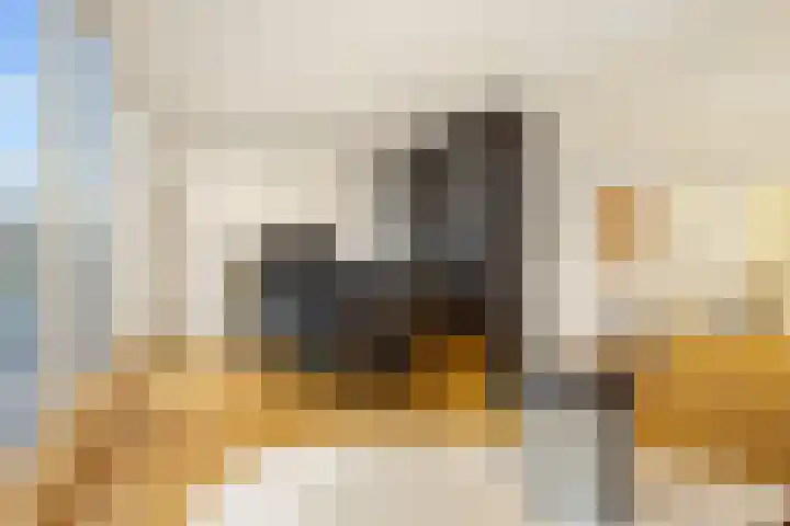 Rapenburgerstraat 83 1 Amsterdam thumbnail 8