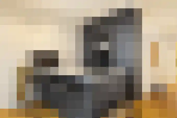 Rapenburgerstraat 83 1 Amsterdam thumbnail 9
