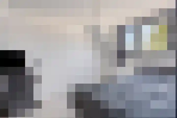 Rapenstraat 8 Boxmeer thumbnail 32