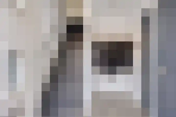 Rapenstraat 8 Boxmeer thumbnail 4