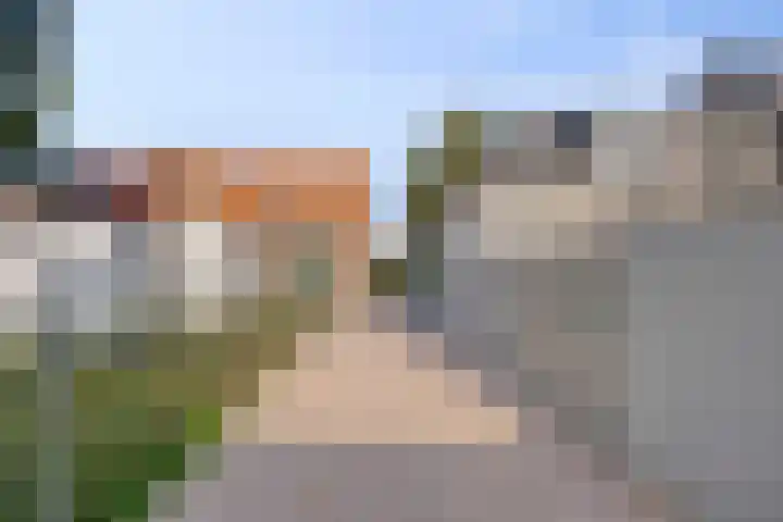 Rapenstraat 8 Boxmeer thumbnail 48