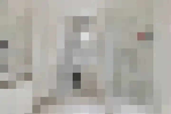 Raperbeek 102 Barneveld thumbnail 20