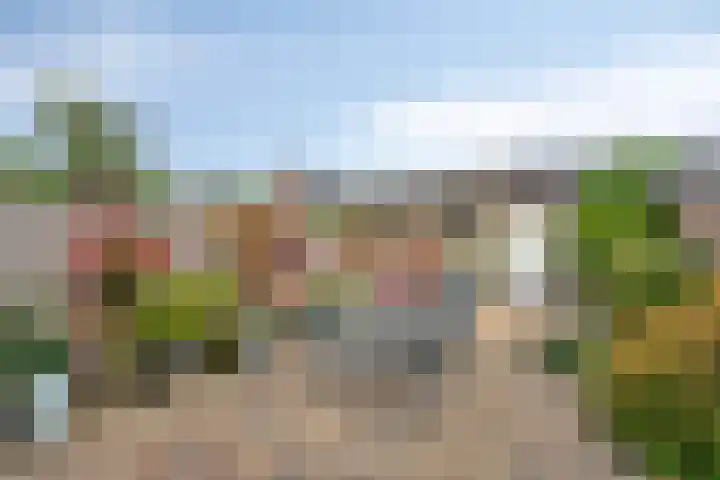 Raperbeek 102 Barneveld thumbnail 25