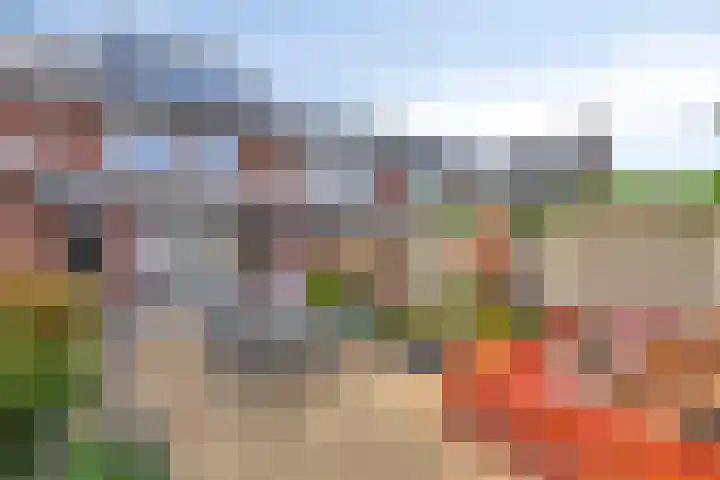Raperbeek 102 Barneveld thumbnail 29