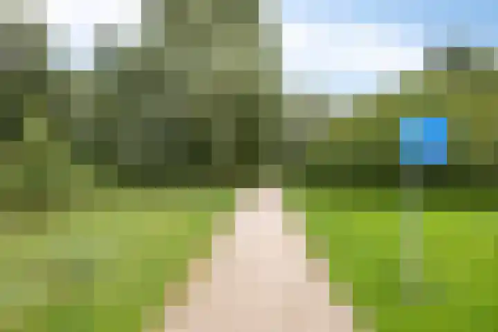Raperbeek 102 Barneveld thumbnail 34