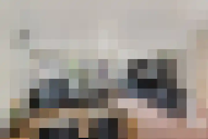 Raperbeek 102 Barneveld thumbnail 7