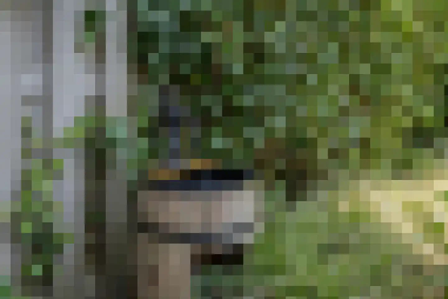 Raperbeek 12 Barneveld thumbnail 31
