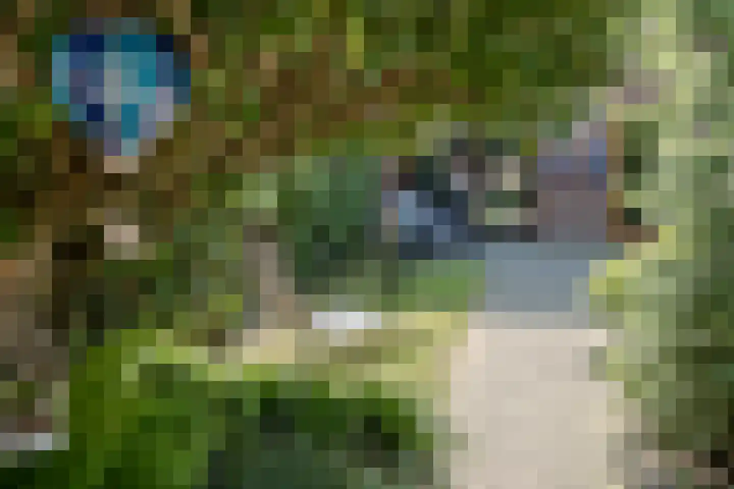 Raperbeek 12 Barneveld thumbnail 34