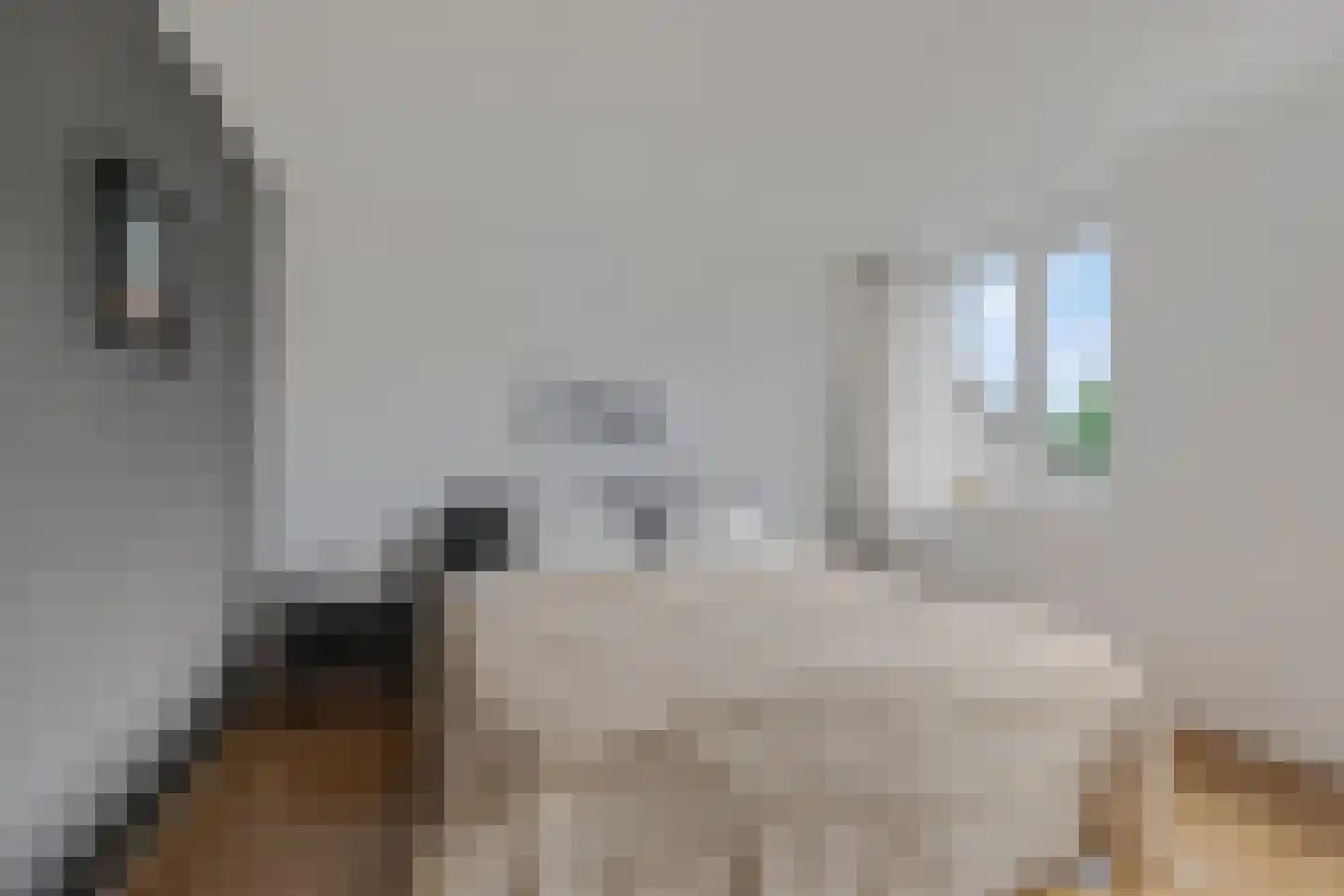 Raperbeek 156 Barneveld thumbnail 10