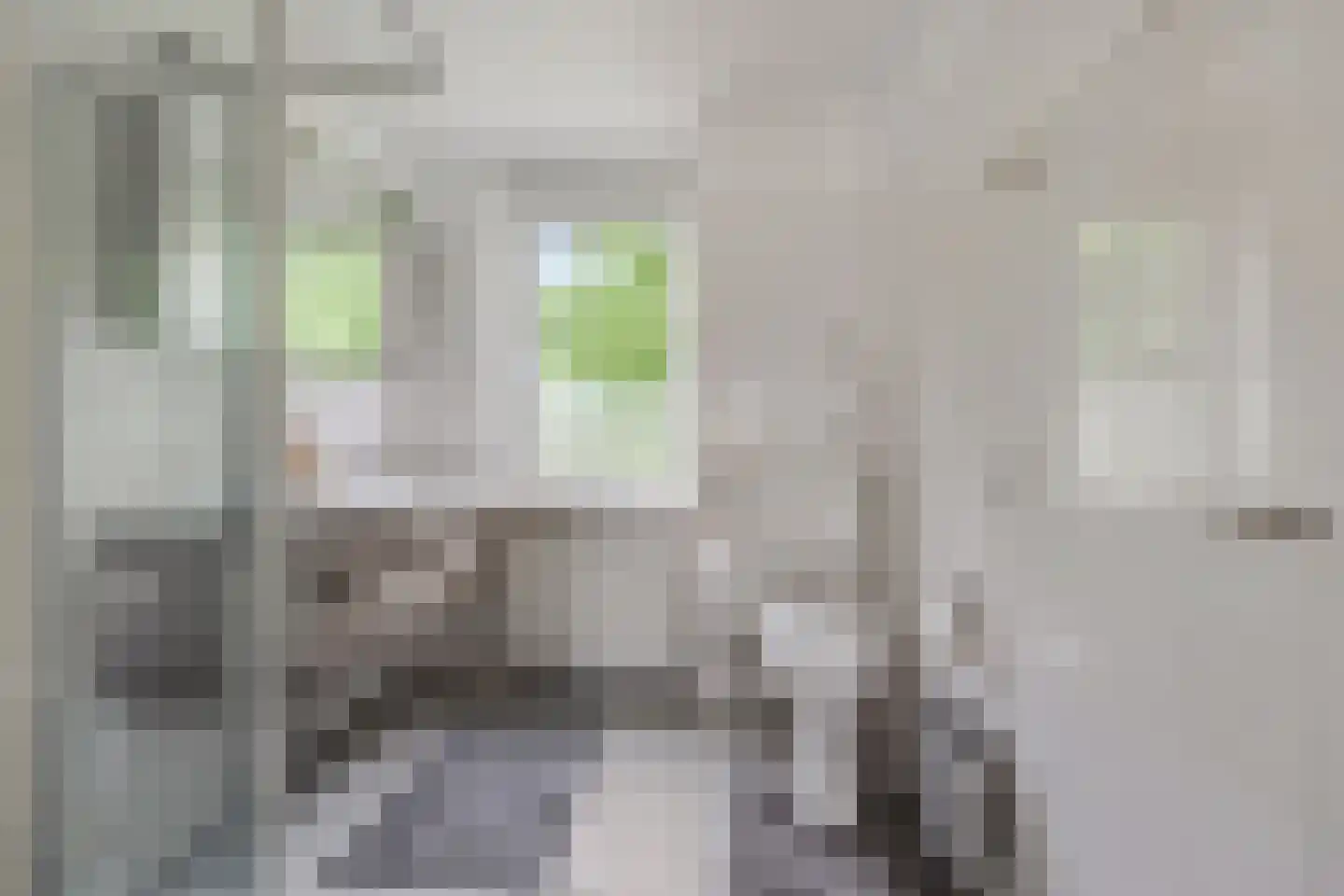 Raperbeek 156 Barneveld thumbnail 14