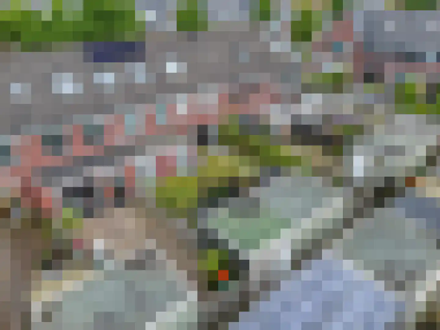 Raperbeek 156 Barneveld thumbnail 25