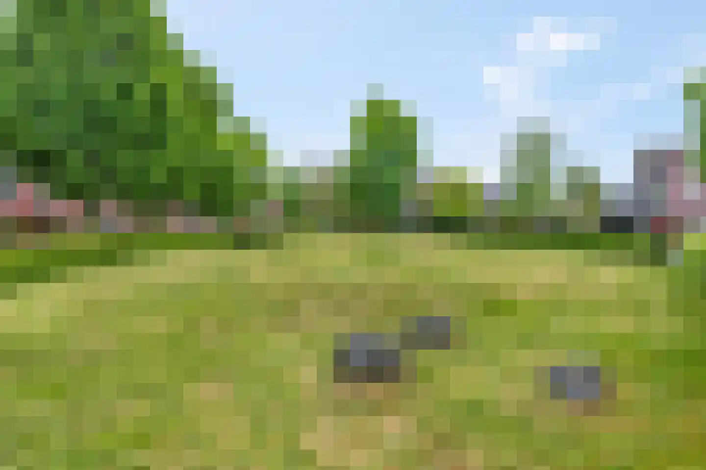 Raperbeek 156 Barneveld thumbnail 29