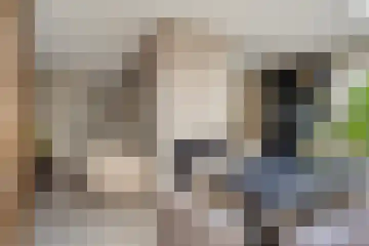 Raperbeek 162 Barneveld thumbnail 10