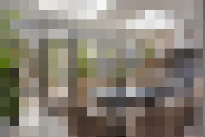 Raperbeek 162 Barneveld thumbnail 12