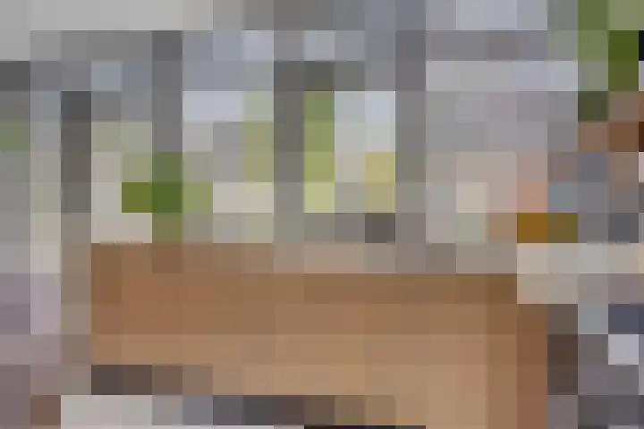 Raperbeek 162 Barneveld thumbnail 14