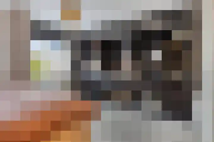Raperbeek 162 Barneveld thumbnail 17