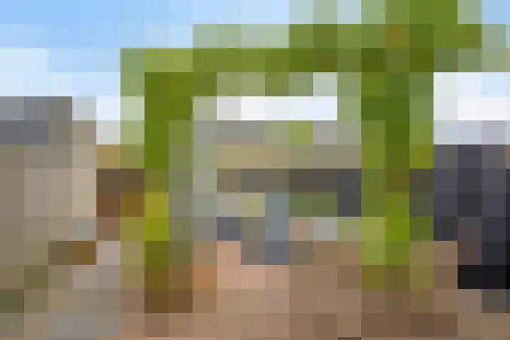 Raperbeek 162 Barneveld thumbnail 25