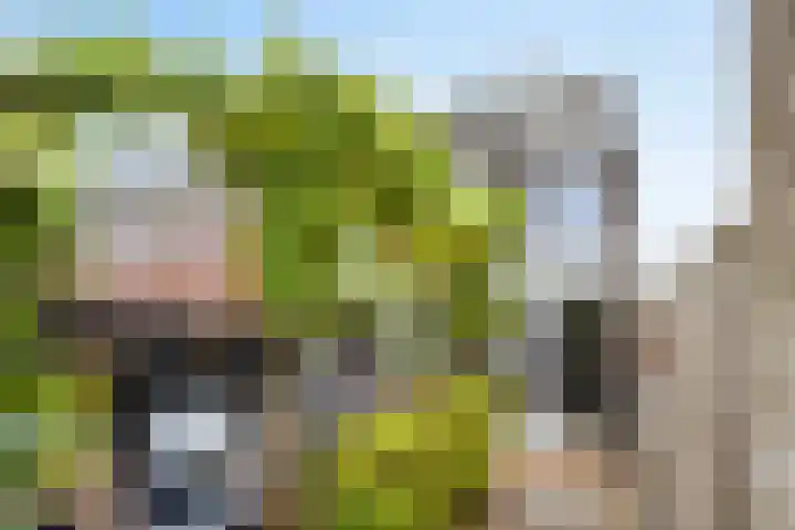 Raperbeek 162 Barneveld thumbnail 27