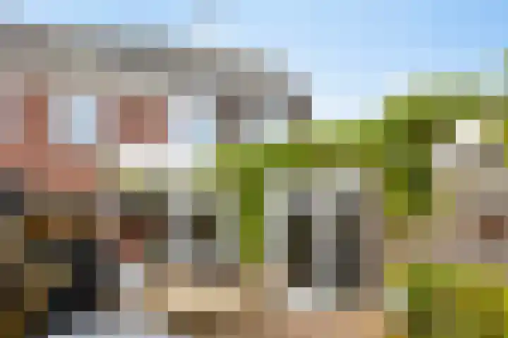 Raperbeek 162 Barneveld thumbnail 28