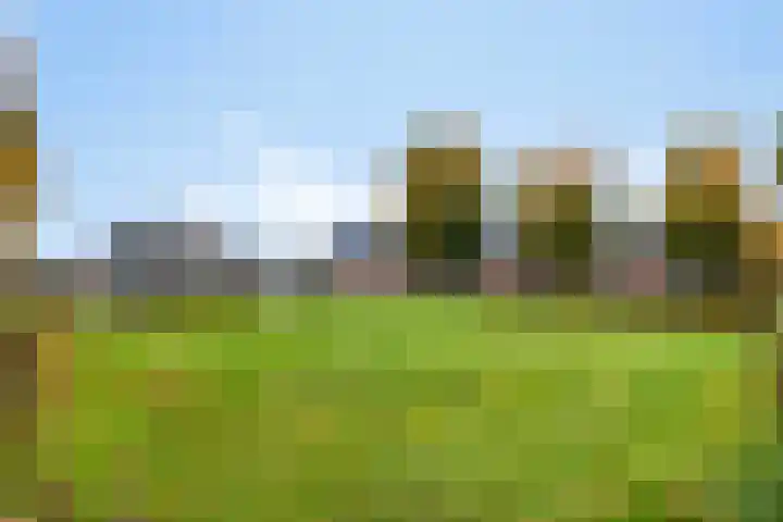 Raperbeek 162 Barneveld thumbnail 29