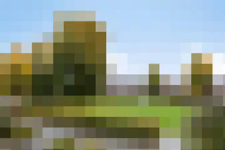 Raperbeek 162 Barneveld thumbnail 30