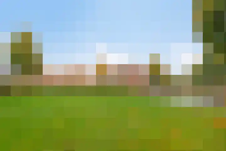 Raperbeek 162 Barneveld thumbnail 31