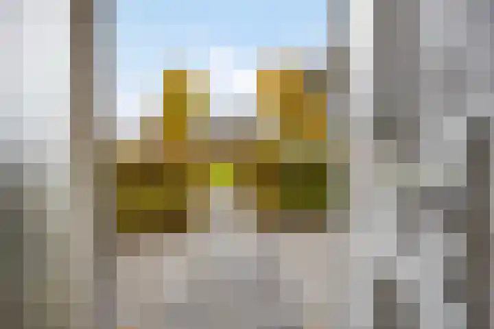 Raperbeek 162 Barneveld thumbnail 4