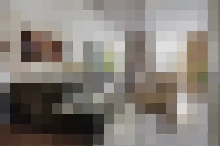 Raperbeek 162 Barneveld thumbnail 6