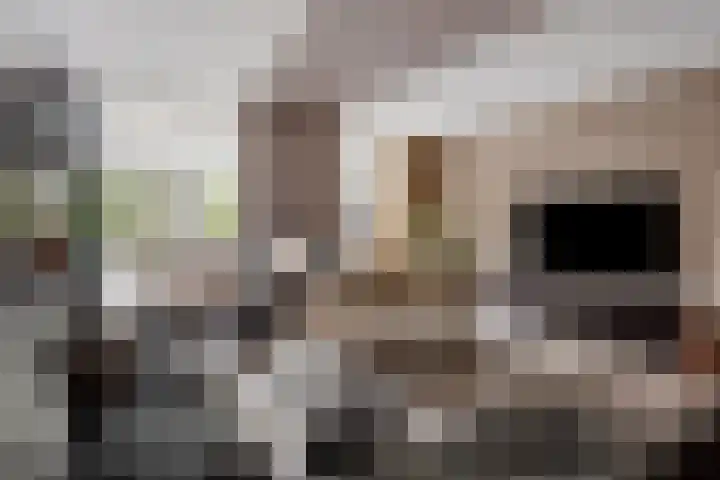 Raperbeek 162 Barneveld thumbnail 7