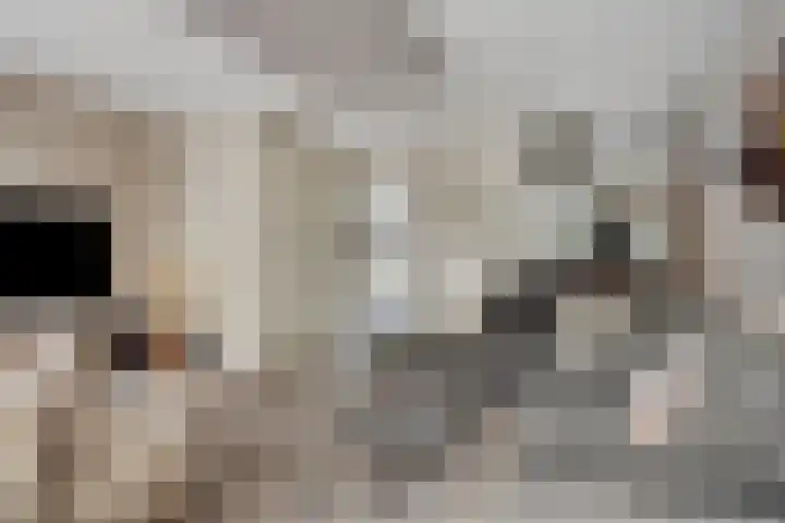 Raperbeek 162 Barneveld thumbnail 8