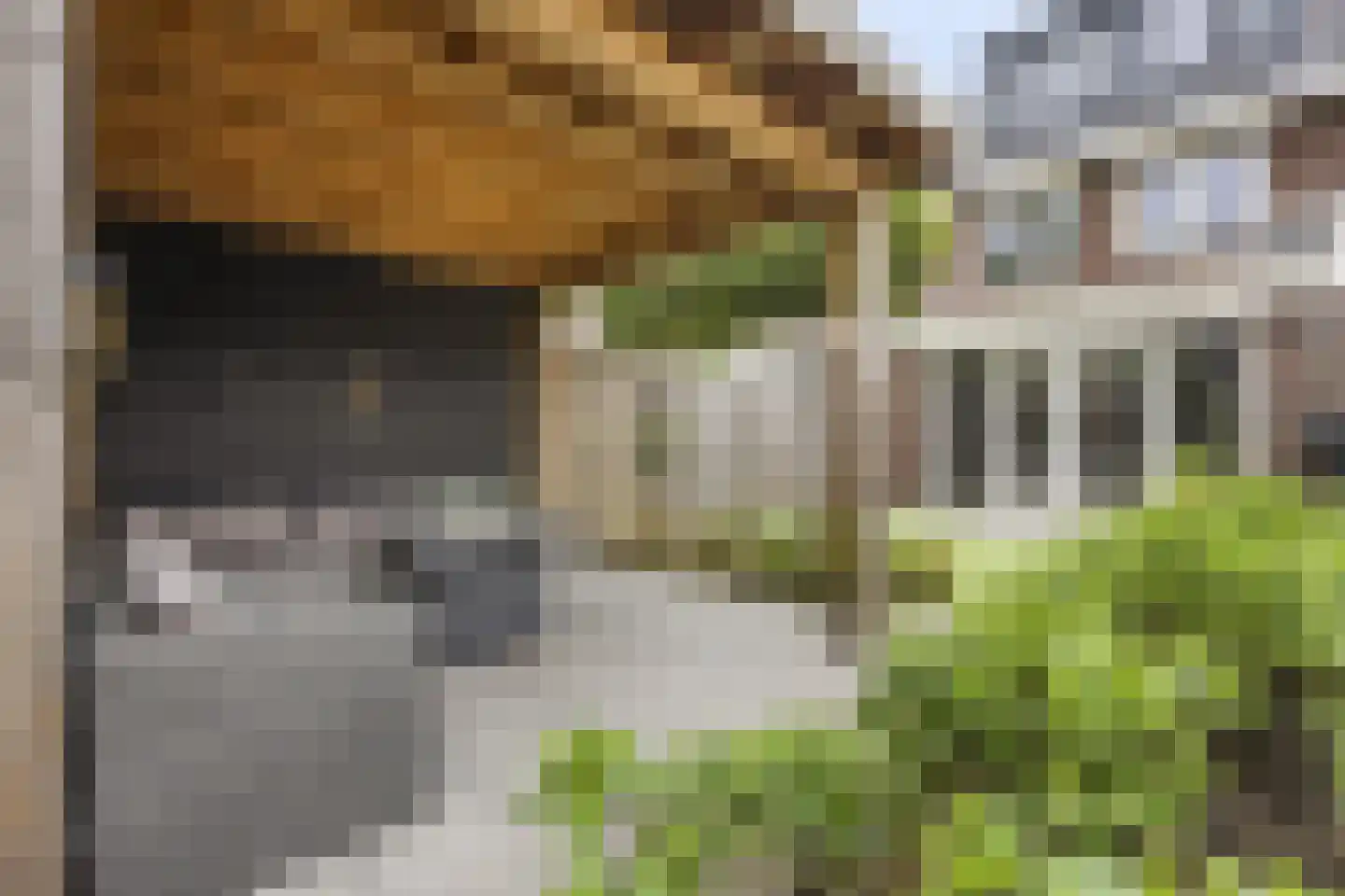 Raperbeek 180 Barneveld thumbnail 39