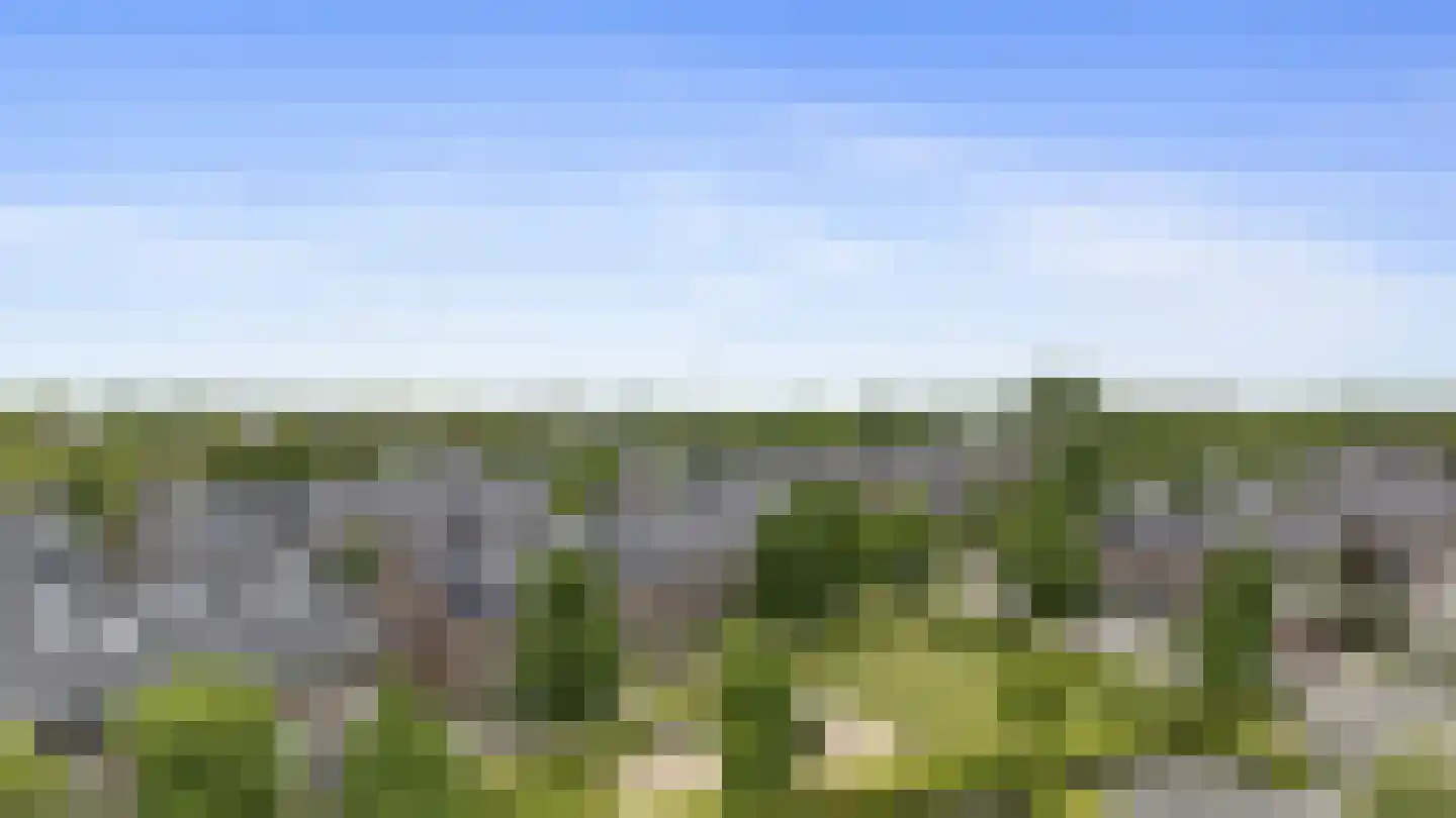 Raperbeek 180 Barneveld thumbnail 4