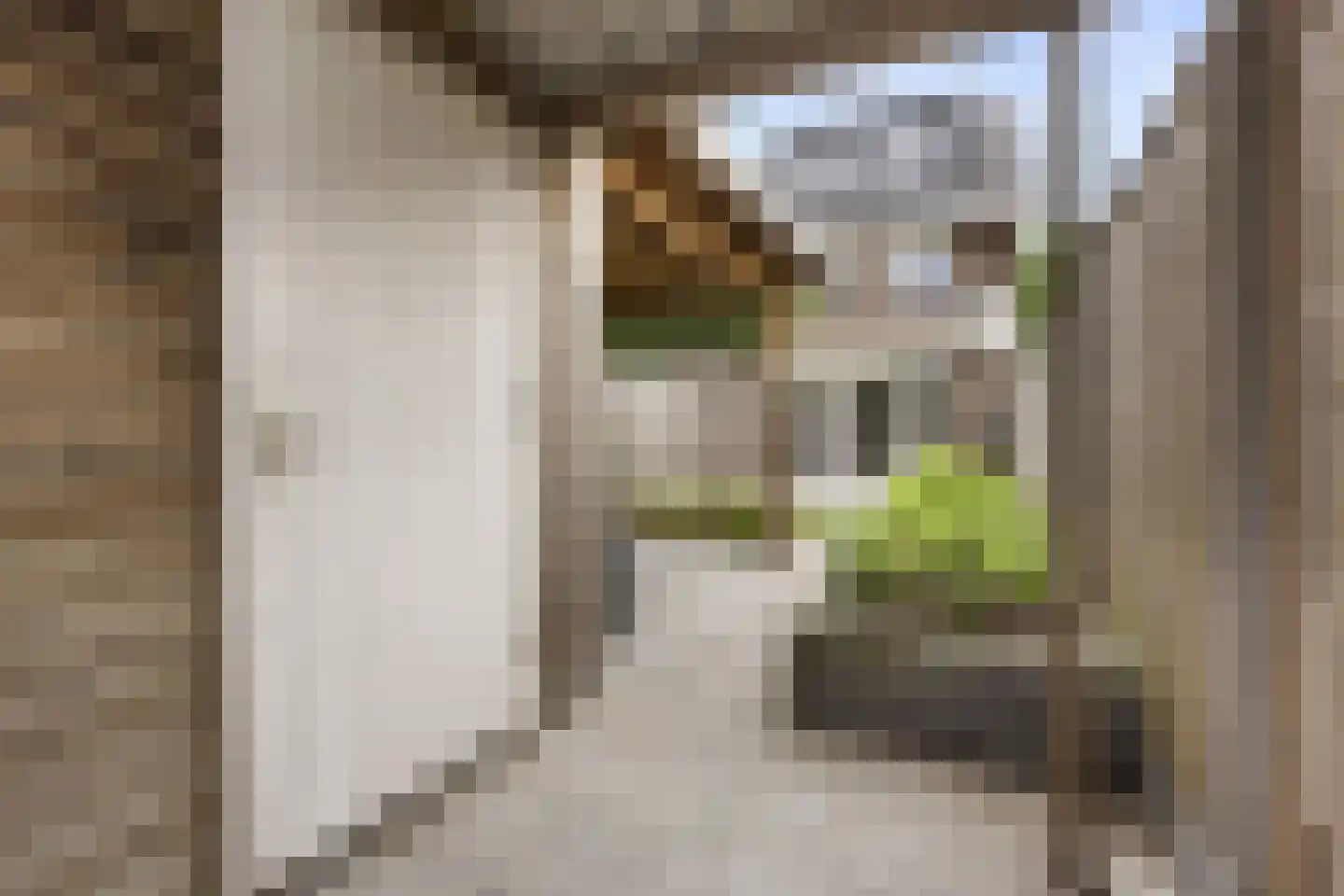 Raperbeek 180 Barneveld thumbnail 40