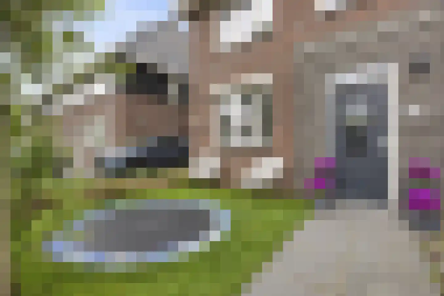 Raperbeek 180 Barneveld thumbnail 5