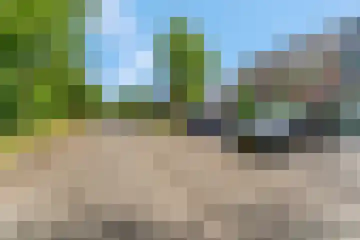 Raperbeek 50 Barneveld thumbnail 10