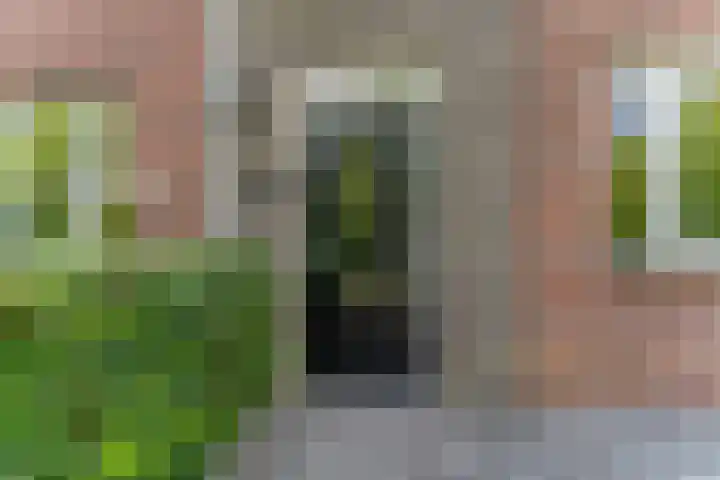 Raperbeek 50 Barneveld thumbnail 12