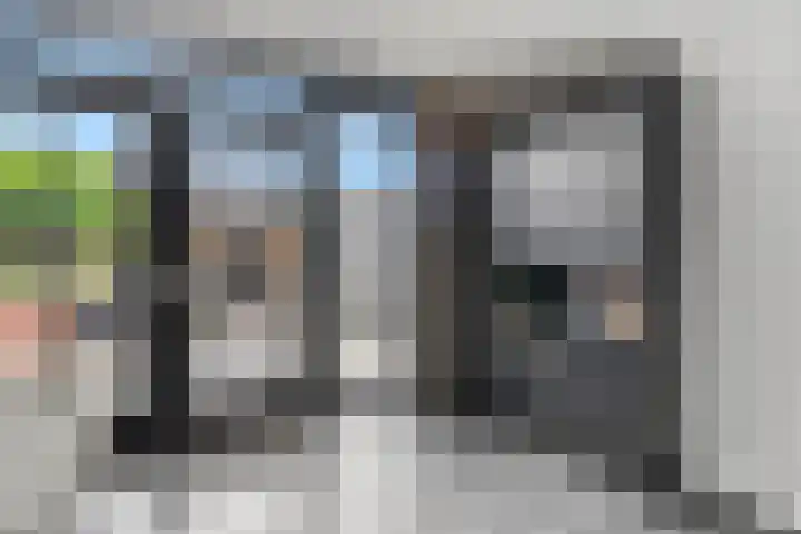 Raperbeek 50 Barneveld thumbnail 17