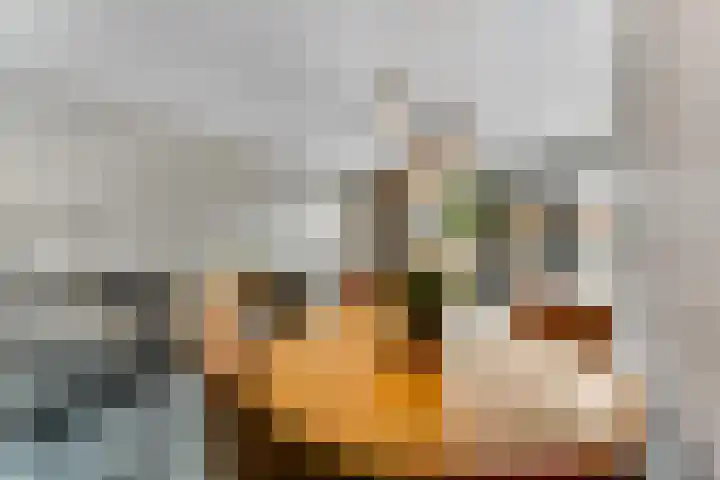Raperbeek 50 Barneveld thumbnail 22