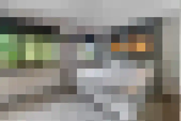 Raperbeek 50 Barneveld thumbnail 28