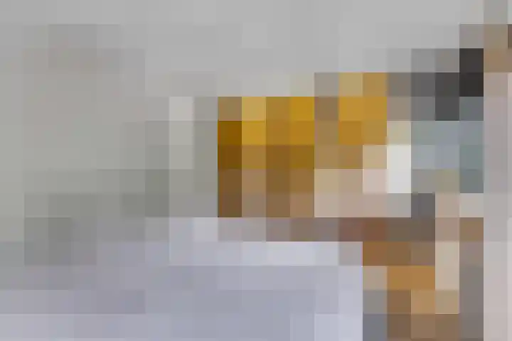 Raperbeek 50 Barneveld thumbnail 30