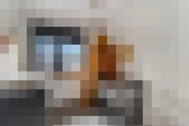 Raperbeek 50 Barneveld thumbnail 31