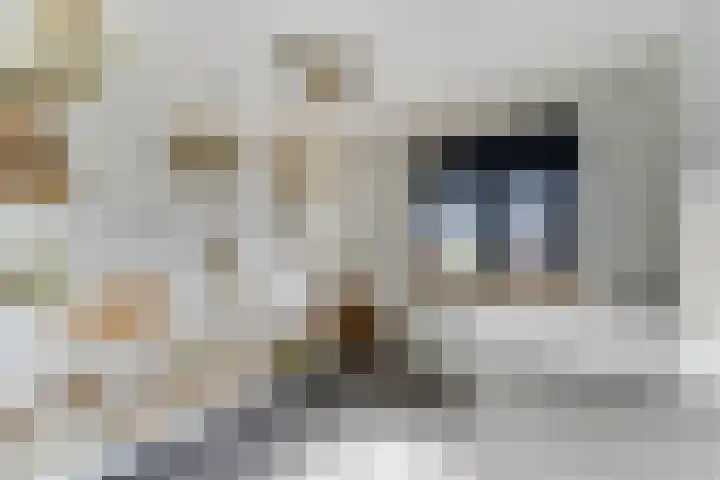 Raperbeek 50 Barneveld thumbnail 33