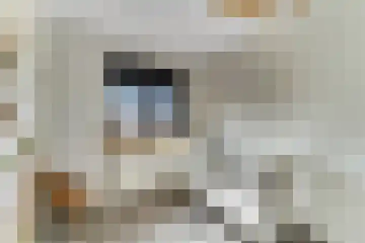 Raperbeek 50 Barneveld thumbnail 34