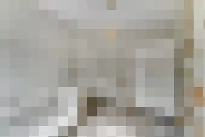Raperbeek 50 Barneveld thumbnail 35