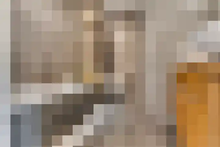 Raperbeek 50 Barneveld thumbnail 36