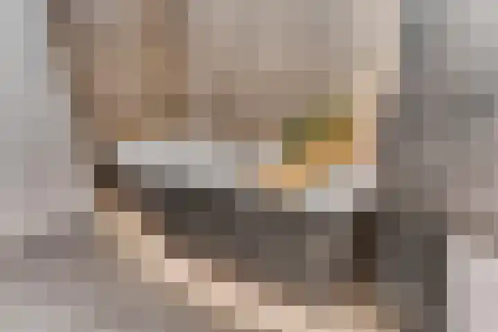 Raperbeek 50 Barneveld thumbnail 38