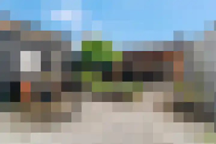 Raperbeek 50 Barneveld thumbnail 45