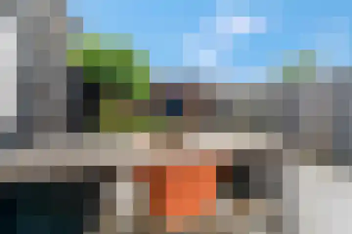 Raperbeek 50 Barneveld thumbnail 46
